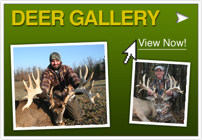 Visit Our Deer Gallery