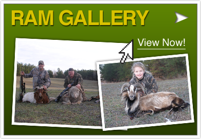 Visit Our Ram Gallery